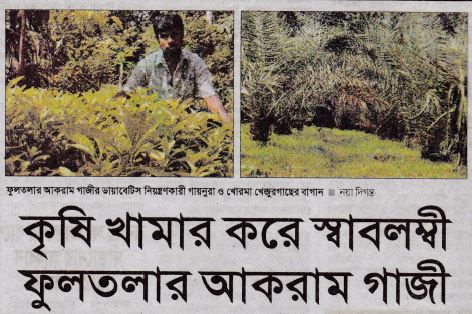 ফুলতলায় ড্রাগন ও খুরমা খেজুর চাষে আকরাম গাজীর সাফল্য